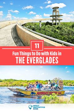 the evergladess and fun things to do with kids in florida, usa