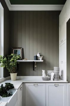 a kitchen with green walls and white cupboards on the counter top, along with plants