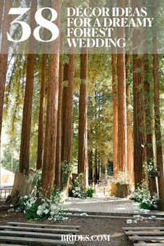 an outdoor ceremony with benches and trees in the background, text overlay reads 35 decor ideas for a dreamy forest wedding