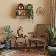 a living room filled with furniture and potted plants on top of shelves next to a window