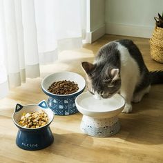 a gray and white cat eating out of three bowls