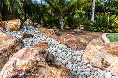 a rock garden with lots of rocks and trees in the background, surrounded by palm trees