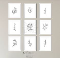 six framed flower drawings on a wall in a living room with a chair and table