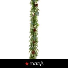 a christmas garland with pine cones and berries hanging from it's side on a white background