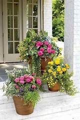 three potted plants on the front steps of a house with flowers growing out of them