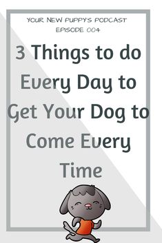 the three things to do every day to get your dog to come every time