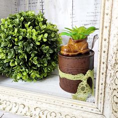 a potted plant sitting on top of a wooden shelf next to a mirror and another potted plant