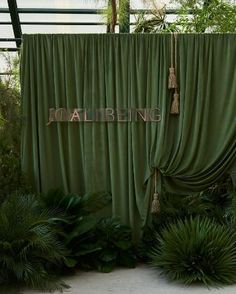 an outdoor area with green curtains and plants on either side that reads, palmeling