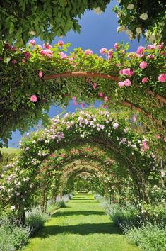 an archway covered in pink flowers and greenery