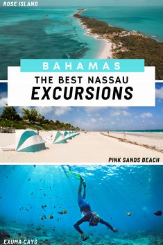 the best nasau excursion from pink sands beach to hamma's island, and more