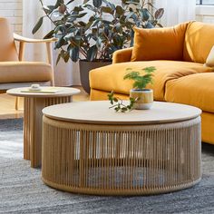 a living room filled with furniture and a plant in the middle of the room on top of a coffee table