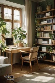 a living room filled with furniture and lots of plants on top of it's shelves