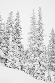 a person skiing down a snow covered hill with lots of trees in the back ground