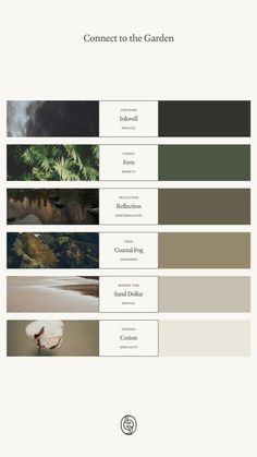 the color scheme for an outdoor garden