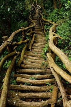 a wooden staircase in the middle of a forest with trees growing on it's sides