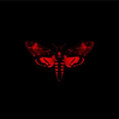 a red and black butterfly on a black background