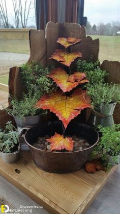 a potted plant with leaves in it sitting on top of a wooden table next to other plants