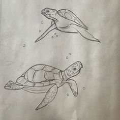 two drawings of sea turtles swimming in the ocean