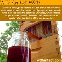 a mason jar filled with liquid sitting on top of a wooden table next to a beehive