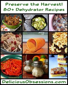 many different foods are shown with the words preserve the harvest 80 + dehydraator recipes