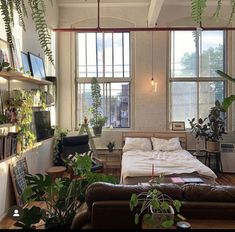 a bedroom with plants hanging from the ceiling