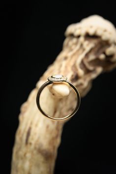 an engagement ring sitting on top of a piece of driftwood with a pearl in the middle