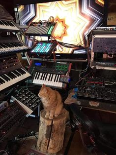 an orange cat sitting on top of a wooden stump in front of a keyboard and sound equipment