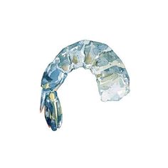 a watercolor painting of a shrimp on a white background