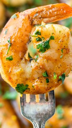 a hand holding a fork with shrimp on it and garnished with parsley