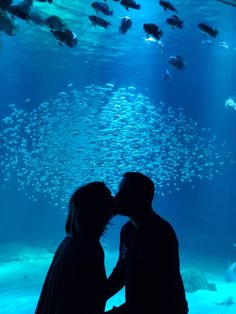 two people standing in front of a large aquarium filled with lots of fish and looking at each other