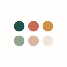 four different colors are shown in the same circle, one is orange and one is green