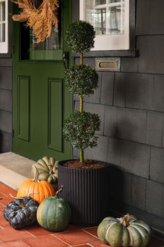 Refresh your front porch for fall with a few simple updates. Start with a classic black ribbed planter and an evergreen topiary, then add green and orange pumpkins around the base for a seasonal touch. Complete the look with a dried wreath on your door.

Shop for your home at Birch Lane. Front Porch For Fall, Dried Wreath, Fall Planters, Pumpkin Orange, Green And Orange, Classic Black