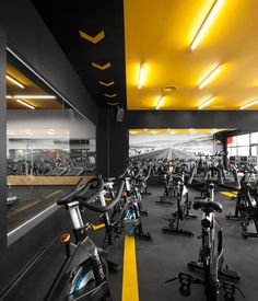 an indoor gym with rows of stationary bikes and treadmills in the foreground