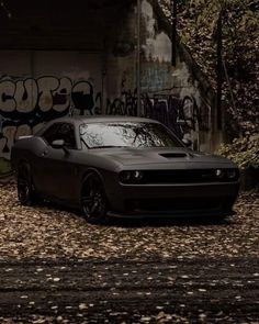 a black car parked in front of a graffiti covered wall with trees and leaves on the ground