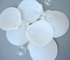 three white seashells with bubbles on a gray surface