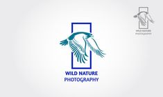 the logo for wild nature photography is shown in blue and green colors on a white background