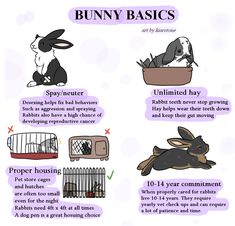 an info sheet describing the different types of bunnies in their cages and how to use them