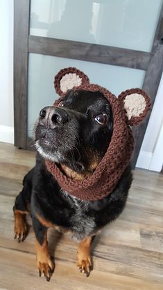 a dog wearing a knitted hat with ears on it's head sitting on the floor