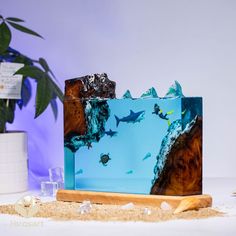 there is a blue box with sharks in it on the table next to a plant