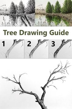 How to Draw ANY Tree Pencil Drawing Of Trees, How To Draw Trees Step By Step Pencil, How To Draw Landscape, Trees To Draw, How To Draw A Tree, Steps For Drawing, Tree Pencil Sketch, How To Draw Trees