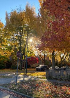 a stop sign in front of some trees with leaves on the ground and cars parked behind it