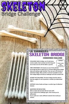 the skeleton bridge challenge has been completed by students to learn how to build their own skeleton bridges