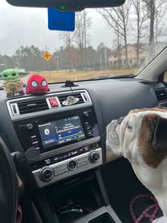 a dog sticking its head out the window of a car while looking at something on the dashboard