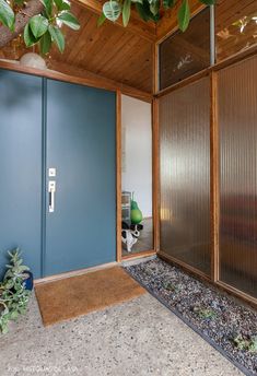 an open door in front of a blue wall and green plant on the ground next to it