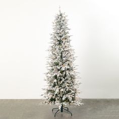 This Christmas tree is lightly dusted with "snow," perfect for ringing in the Holiday season. A lighted pencil tree, it's the perfect size to display in a corner or tight space. At 7.5", it's an ideal height, and the perfect backdrop to display treasured ornaments. Over the last 55 years, Sullivans has become an industry leader in home decorations. Our brand is rooted in tradition while incorporating modernized trends to keep your home looking up to date with timeless style. Here at Sullivans, w Slim Flocked Christmas Tree, Pencil Tree, Flocked Christmas Tree, Christmas Tree Green, Slim Christmas Tree, Pencil Trees, Pre Lit Christmas Tree, Cabin Christmas, Flocked Christmas Trees