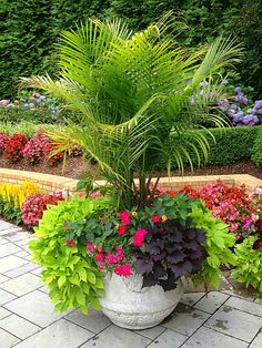 a planter filled with lots of colorful flowers on top of a brick walkway next to trees