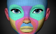 an image of a woman's face with different colored lines on it and the shape of her head