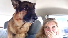 a woman sitting in the back seat of a car next to a large brown dog