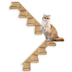 a cat sitting on top of a wooden stair rail