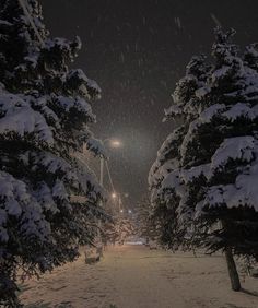 snow covered trees and street lights in the distance at night, with one person walking through it